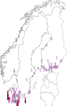 Fyndkarta för brunaktigt knölfly. Datakälla: GBIF