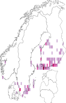 Fyndkarta för tvåstrimmigt almott. Datakälla: GBIF