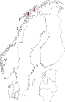 Fyndkarta för Campanularia integra. Datakälla: GBIF