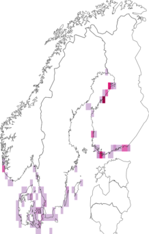 Fyndkarta för sandfältsjordfly. Datakälla: GBIF