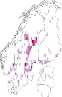 Fyndkarta för sandrörsnattsländor. Datakälla: GBIF