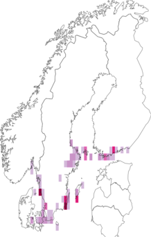 Kaarta Euzophera pinguis. Data source: GBIF