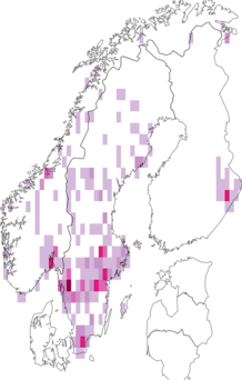 Fyndkarta för vit tuvskivling. Datakälla: GBIF