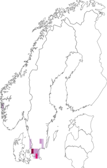 Fyndkarta för Cantharis pallida. Datakälla: GBIF