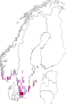 Fyndkarta för Nicrophorus humator. Datakälla: GBIF