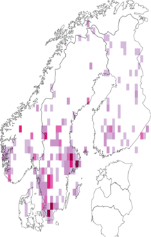 Kaarta Cephaloziellaceae. Data source: GBIF