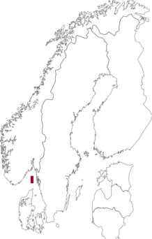 Fyndkarta för Harmothoe viridis. Datakälla: GBIF