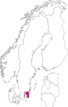 Kaarta Rubus hylanderi. Data source: GBIF