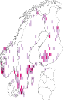 Kaarta kalliohiippasammal. Data source: GBIF