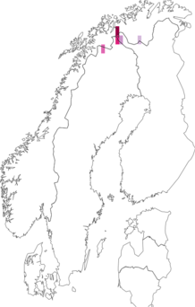 Fyndkarta för nordisk igelkottspinnare. Datakälla: GBIF