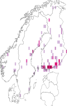 Fyndkarta för svampflugor. Datakälla: GBIF