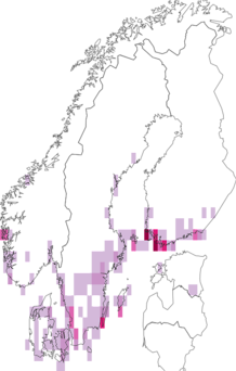 Fyndkarta för violettrött metallfly. Datakälla: GBIF