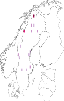 Fyndkarta för Aspicilia zonata. Datakälla: GBIF