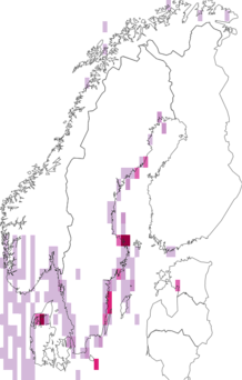 Fyndkarta för sillfiskar. Datakälla: GBIF