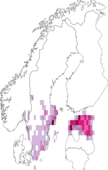 Fyndkarta för Sus. Datakälla: GBIF