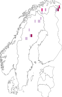 Fyndkarta för sibirisk kamgälsnäcka. Datakälla: GBIF