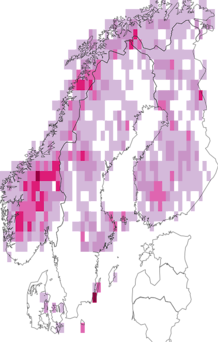 Kaarta pussikämmekkä. Data source: GBIF