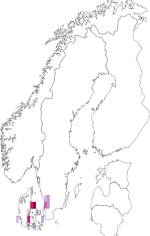 Fyndkarta för rödtonad harrismätare. Datakälla: GBIF