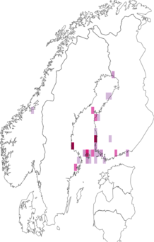 Fyndkarta för havtornmal. Datakälla: GBIF