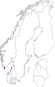 Fyndkarta för Inocybe serotina. Datakälla: GBIF