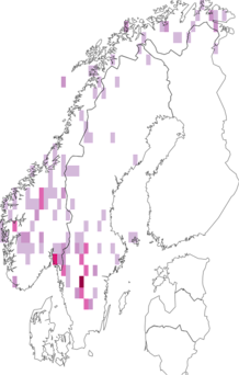 Kaarta Cladonia subfurcata. Data source: GBIF