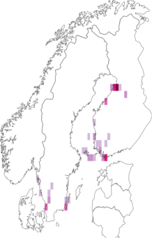 Fyndkarta för krypvideguldmal. Datakälla: GBIF