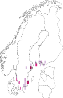 Fyndkarta för brunkragad ekdvärgmal. Datakälla: GBIF