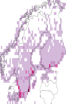Levikukaart: valgepõsk-lagle. Andmete allikas: GBIF
