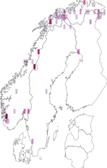 Fyndkarta för Macrosteles alpinus. Datakälla: GBIF