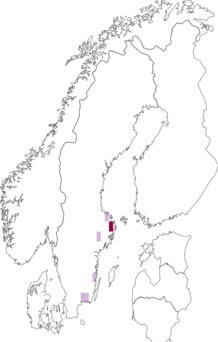 Fyndkarta för tjärblomstermal. Datakälla: GBIF