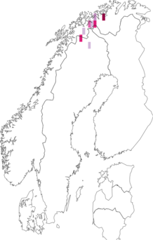 Levikukaart: Platanthera obtusata. Andmete allikas: GBIF