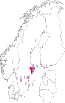 Fyndkarta för silverängsblomfluga. Datakälla: GBIF