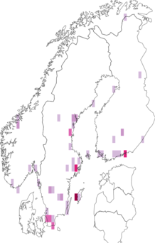 Fyndkarta för blank flickblomfluga. Datakälla: GBIF