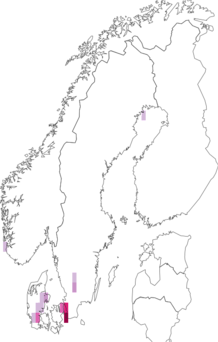 Fyndkarta för dansk iris. Datakälla: GBIF