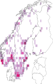 Kaarta Tetragnathidae. Data source: GBIF