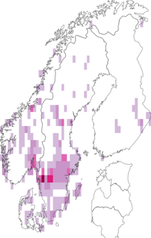 Levikukaart: pruun aniislehtrik. Andmete allikas: GBIF