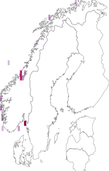 Fyndkarta för Poromya granulata. Datakälla: GBIF