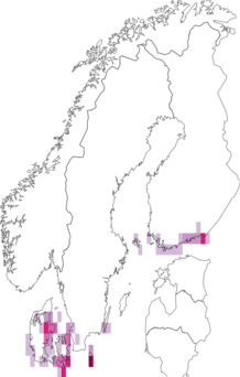 Fyndkarta för Sedina. Datakälla: GBIF