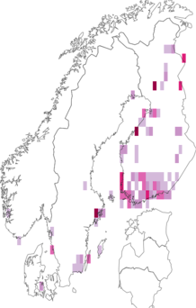 Fyndkarta för mörksprötad tallbarrsmal. Datakälla: GBIF
