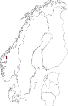 Fyndkarta för Lythria purpuraria. Datakälla: GBIF