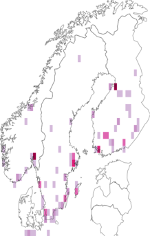 Kaarta keltapähkämö. Data source: GBIF