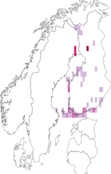Fyndkarta för strandveronikefjädermott. Datakälla: GBIF