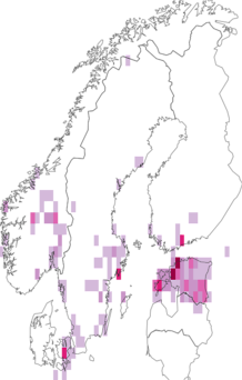 Fyndkarta för större skogsmus. Datakälla: GBIF