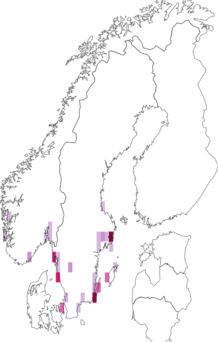 Fyndkarta för längsstreckad enbuskstävmal. Datakälla: GBIF