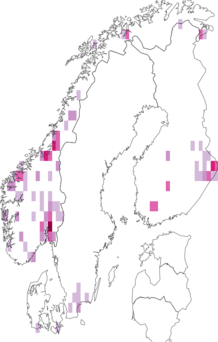 Levikukaart: Cortinarius vibratilis sensu Kytövuori. Andmete allikas: GBIF