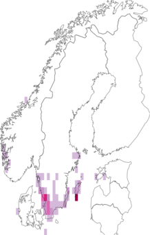 Kaarta Opegrapha ochrocheila. Data source: GBIF