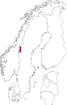 Fyndkarta för Delitschia didymella. Datakälla: GBIF