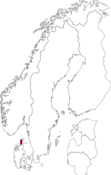 Fyndkarta för Pluteus roseipes. Datakälla: GBIF