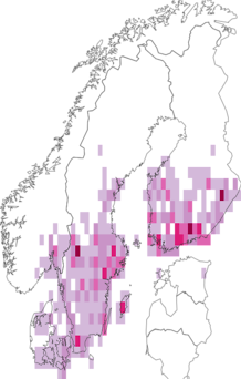 Fyndkarta för svartribbad vitvingemätare. Datakälla: GBIF