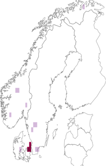 Fyndkarta för besk trattskivling. Datakälla: GBIF